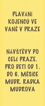 
Plavání kojenců ve vaně v Praze


Návštěvy po celé Praze.
Pro deti od 1. do 6. měsíce
Mudr. Radka Mudrova